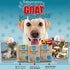 3 Pack 5 oz (3 Count) Honey Sweetie Acres All-Natural Pet Shampoo Bar with Fresh Goat Milk - Moisturizing Relief