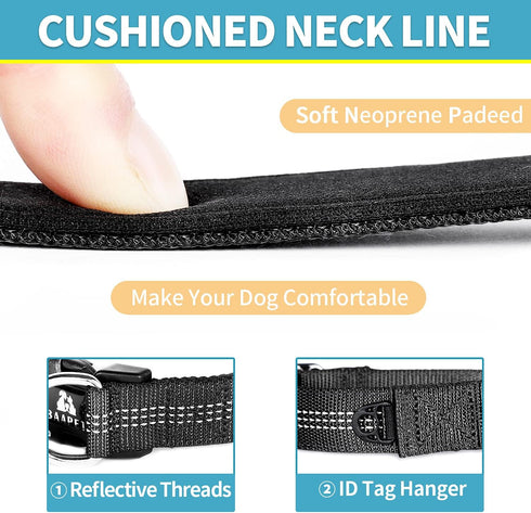 BAAPET Comfortable Dog Collar with Double Security Dual D-Ring and ID Tag Hanger for Small Medium Large Dogs (XS - 3/4"