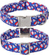 Lionet Paws 4th of July Dog Collar, Cute Flower Design for Medium Large Female Dogs with Sundae L