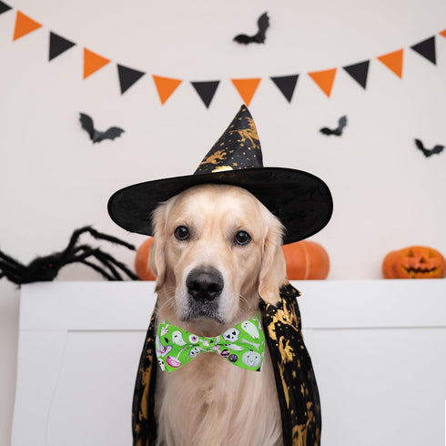 2023 NEW Halloween Holiday Dog Collar with Bow Tie for Boys and Girls, Suitable for Small Medium Large Dogs