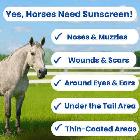 Sit Stay Forever Organic Sunscreen & Moisturizer for Horses, Sun Protection for Nose and Sensitive Skin, 4 oz
