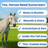 Sit Stay Forever Organic Sunscreen & Moisturizer for Horses, Sun Protection for Nose and Sensitive Skin, 4 oz