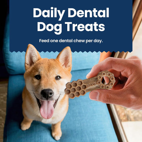 Blue Buffalo Medium Dental Chews for Dogs (14 Count) Made in the USA, Natural Ingredients, Chicken & Spearmint, Daily