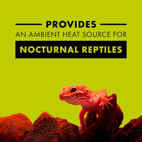 Zilla Incandescent Bulb, Night Red, Ideal for Reptile Species Nocturnal
