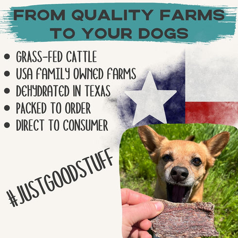 100% (10 JACK'S PREMIUM Beef Jerky Dog Treats - Dehydrated Beef - Human Grade - Single Ingredient - Made in The USA