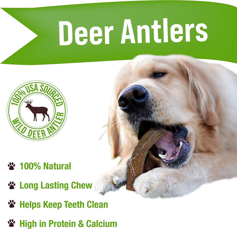 Buck Bone Organics Dog Chews, Deer Antlers for Dogs, Long Lasting Bones for Aggressive Chewers, All Natural, Med/Large
