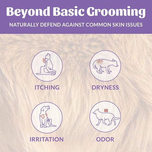 Omega-3s, 97% 16oz, 2-Pack Skout's Honor Probiotic Dog Shampoo & Conditioner with Avocado Oil & Natural, Paraben