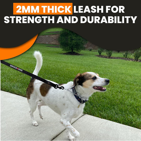 Service Dog Leash, Strong Nylon with Soft Neoprene Padded Handle, 4ft Length x 1in Width