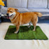 22 x34 Artificial Grass Turf Pad for Dog Potty Training in (Replacement Grass)