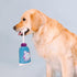 Fringe Studio Plush Dog Toy - Good Times and Tan Lines, Pet Shop Collection (314298).