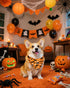 100 Pack PET SHOW Halloween Small Dog Bandanas Bulk No Seam Pumpkin Ghost Triangle Bibs Scarves for Girl Boy Pets