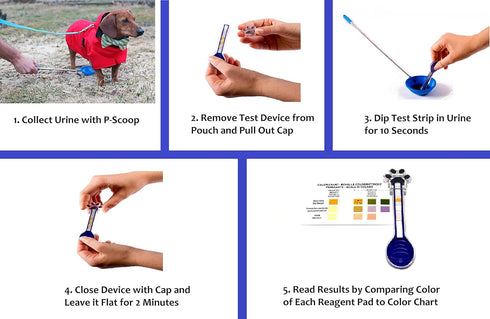 PawCheck UTI Test Kit for Dogs with Telescopic Urine Collector