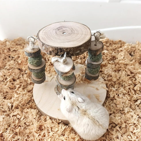 Genrico Gerbil Toys | Multifunctional Natural Wood Teether Treats - Gnawing Toys - for Gnawing and Chewing Small Pets
