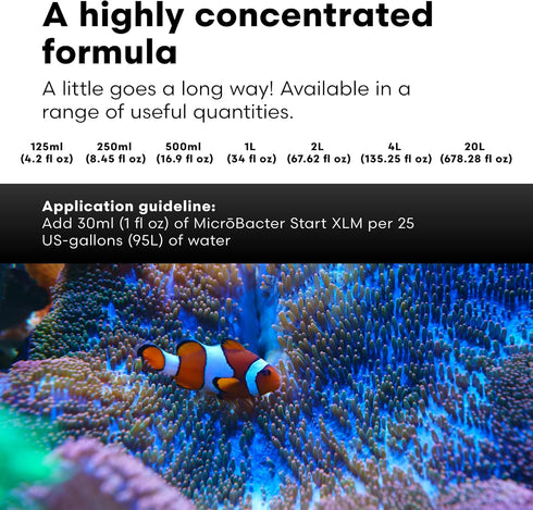 Brightwell Aquatics MicroBacter Start XLM, Concentrated Freshwater Nitrifying Bacteria, Aquarium Water Treatments