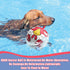 Dog Toys Soccer Ball with Straps, Durable Outdoor Toy for Small Medium Dogs, Puppy Birthday Gifts (6 Inch)