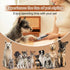 4 1 4 Trimmer, Trimmer in Dog Grooming Kit with LED Display, Dog Grooming Clippers with Guide Combs, Rechargeable Low