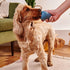 Beco Natural Rubber Bouncy, Chewy & Fillable Dog Toy, Rolls & Wobbles, Blue