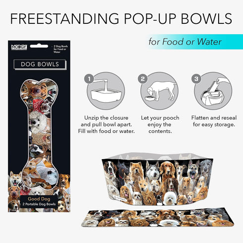 MODGY Collapsible Dog Water and Food Bowl Set, Reusable Plastic Pet Dish for Travel, Camping, 2 Pack