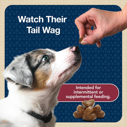 Blue Buffalo Bits Soft Dog Treats for Training, Natural Ingredients & Enhanced with DHA, Beef Recipe