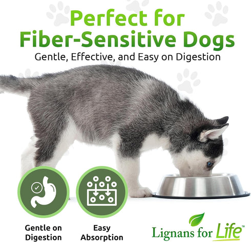 20mg 90 Lignans For Life HMR Lignans - Capsules - Vitamin for Healthy Pet | Natural Multivitamin | Wellness Supplement