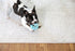 (3 Inch JW Pet HOL-ee Roller, Dog Toy Puzzle Ball, Natural Rubber, Small Diameter), Blue