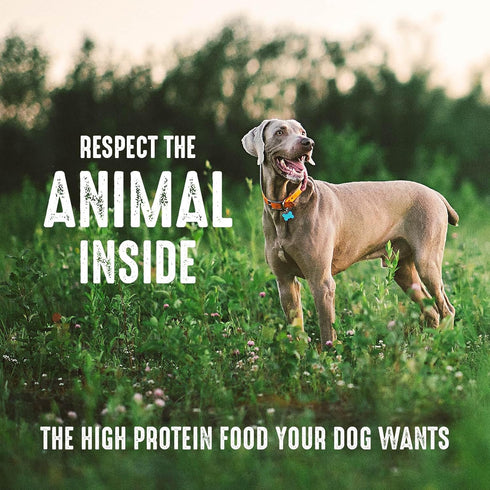 CRAVE High Protein Adult Dry Dog Food, Grain Free, White Fish & Salmon, 4 lb. Bag
