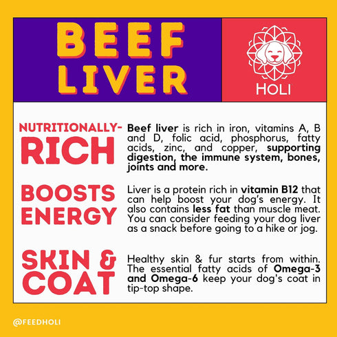 HOLI Beef Liver Dog Food Topper - 4oz, Single Ingredient, Human-Grade Freeze Dried Protein and Flavor Enhancer
