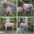 Lovelonglong Pet Clothing - Dog Costumes Basic Blank T-Shirt Tee for Small Dogs, Pink L