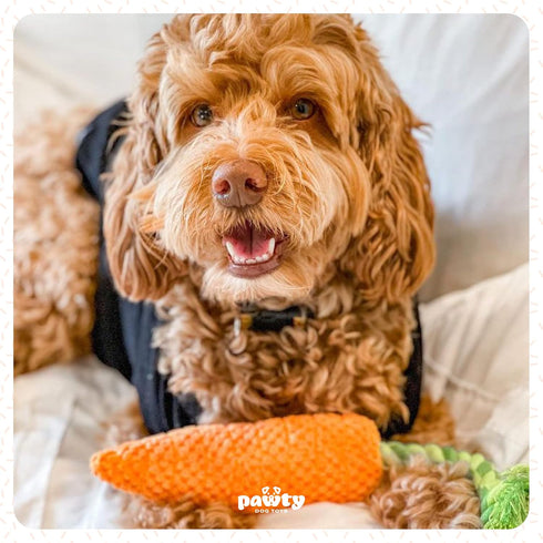 Carrot Tug Rope Dog Toy, Squeaky Gift for Puppy Birthday, Durable Toy for Small to Medium Dogs