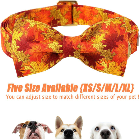 Fall Dog Bow Tie Collar - Adjustable Thanksgiving Cotton Collars with Gold Metal Buckle for X-Large Dogs