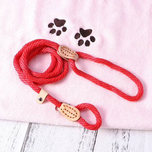 POPETPOP Nylon Dog Slip Training Leash Collar Rope for Pets Training (Red)