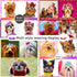 100pcs Dog Hair Bows, Bulk Cute Puppy Pet Small Dog Hair Bows with Rubber Bands for Grooming Accessories