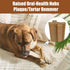 SPOT Bam-Bones Plus T-Bone Dog Chew, Bamboo Fiber & Nylon, Durable for Aggressive Chewers, 6in