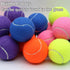 20 Pack SHYUJAJIE Tennis Balls, Training Tennis Balls,High Elasticity Practice Tennis for Beginner, Exercise Playing