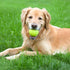Chew King Supreme Fetch Balls, Extremely Durable Natural Dog Toy Ball, Fits Ball Launcher, Fetch Toy Collection