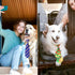 Segarty 50 PCS Dog Neckties, Adjustable Bow Ties for Medium Large Dogs, Festival Formal Bulk Pet Accessories