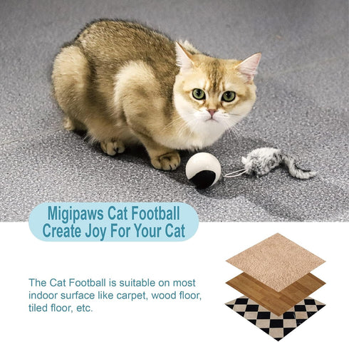 Migipaws Interactive Cat Ball Toy Set, Automatic Rolling Chase Ball with Fluffy Tail, Rechargeable (Orange)