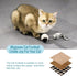 Migipaws Interactive Cat Ball Toy Set, Automatic Rolling Chase Ball with Fluffy Tail, Rechargeable (Orange)