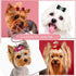 Dog Hair Crown Bows with Clips for Small Dogs, Bulk 20pcs Cute Handmade Pet Dog Bows Girl Clips, Puppy Yorkie Dog Hair Grooming Bowknot Alligator Clips for Doggies Hair Accessories