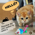 20 PCS Furry Cat Toys Squeak Mouse Rattle Mice with Feather Tails (Random Color)