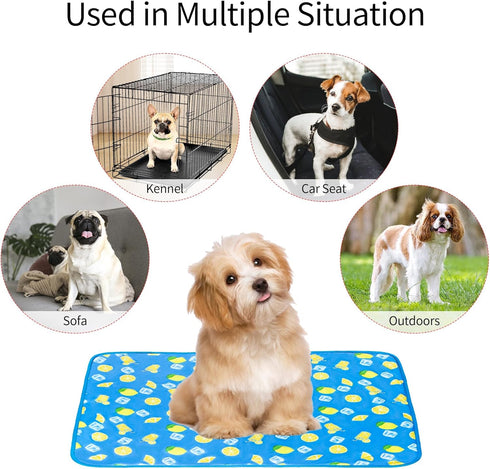 NACOCO Summer Pet Cooling Mat - Cat Dog Cushion Pad for Sleeping Cool, Dark Blue Lemon, S