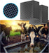 2Pcs Aquarium Cube Filter, Activated Carbon for Ponds and Fish Tanks, Eco Water Purifier Cube, 4X4X2 Inch