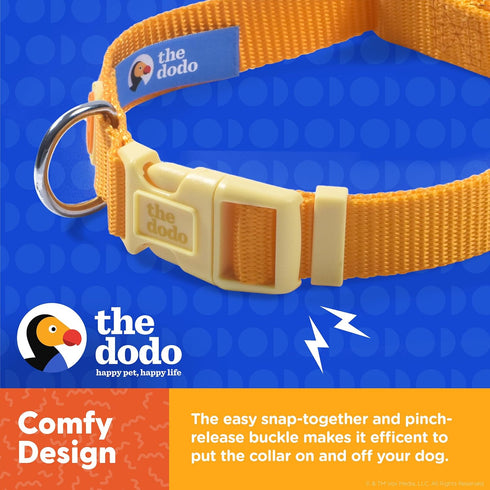 The Dodo All Nylon Yellow Collar and Leash Set, Small, Waterproof Matching Set for Beach Day or Lake Trips