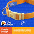The Dodo All Nylon Yellow Collar and Leash Set, Small, Waterproof Matching Set for Beach Day or Lake Trips