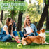 40 Pack Tennis Balls for Dogs - 2.5 Inch Easy Catching Fetch Toys with Carry Bags for Training and Exercise