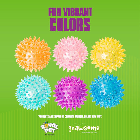Gnawsome 2.5 100% Dog Toys - Spiky Squeaker Ball - Small - Dental & Gum Wellness - Stimulating Fun - Hidden Squeaker