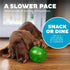 Outward Hound Mazee Puzzle Ball Interactive Treat Dispensing Dog Toy, Green Color