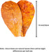 10 Pack, 6 Shrimp Tank Accessories Indian Almond Leaves for Shrimps,Snails,Crayfish Dried Catappa Leaves for Aquariums