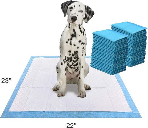 Four Paws Wee-Wee Ultimate Attractant Dog Pee Pads for Instinctive Training, Leak-Proof Quilted Potty Pads (50 Count)