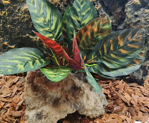 FLmoving Reptile Terrarium Decor Plants,Amphibian Habitat Decor,Artificial Plants for Tank Accessories (Calathea